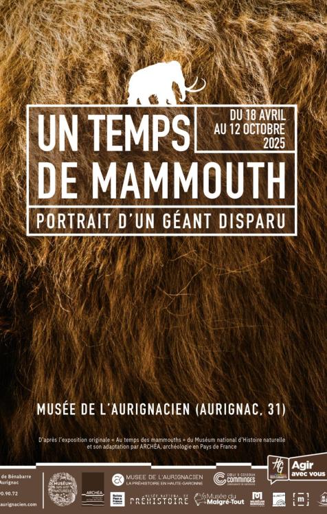 Un temps de mammouth, portrait d’un géant disparu | Dès le 18 avril