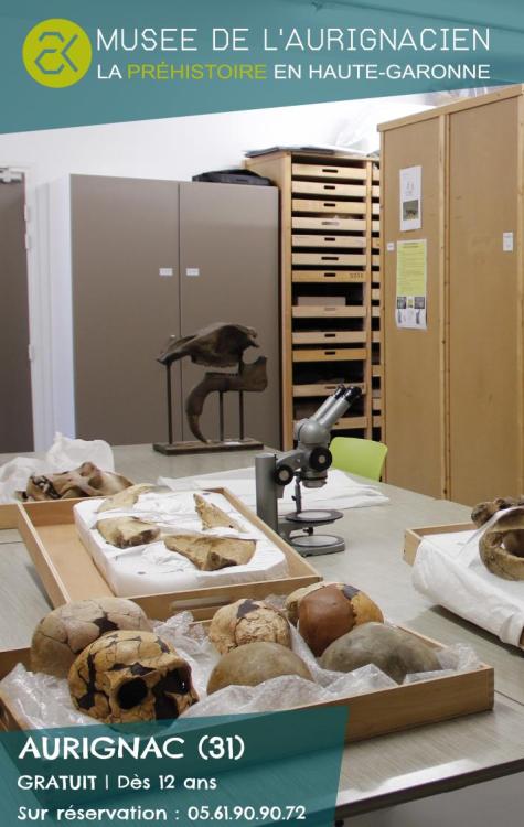 Fête de la science au Musée de l'Aurignacien | Sam. 11 et Dim. 12 octobre