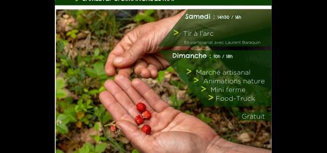 Titre de l'article