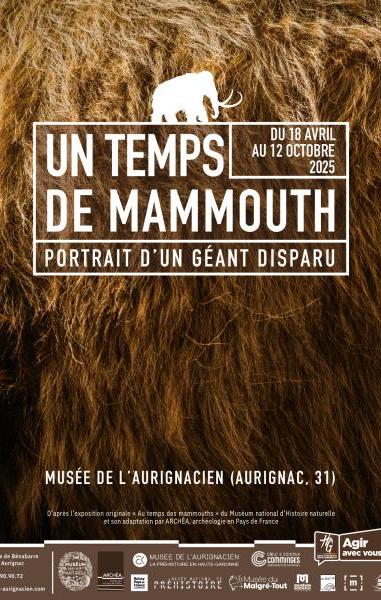 Nouvelle exposition temporaire Un temps de mammouth, portrait d’un géant disparu | Dès le 18 avril
